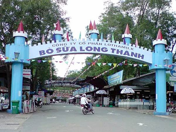 Bò sữa Long Thành