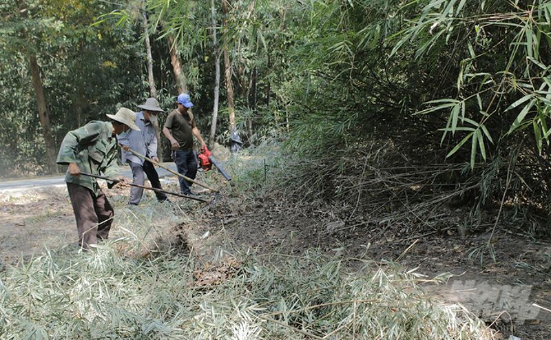 Các biện pháp phòng chống cháy rừng tại Bà Rịa - Vũng Tàu