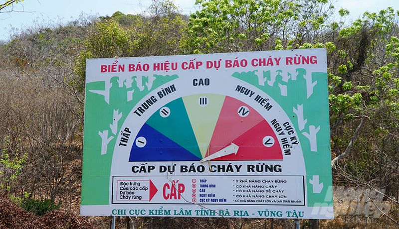 Lực lượng chức năng phòng chống cháy rừng tại Bà Rịa - Vũng Tàu