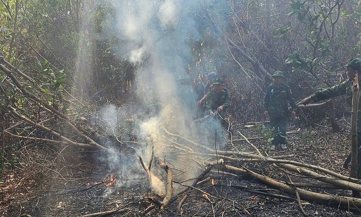 Tổng hợp các biện pháp phòng chống cháy rừng tại Bà Rịa - Vũng Tàu